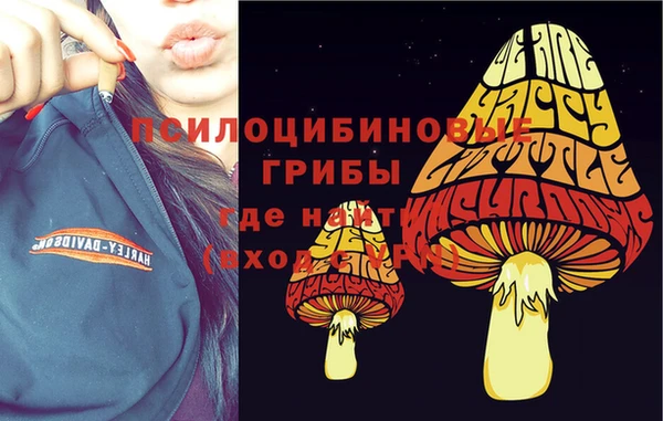 каннабис Алзамай